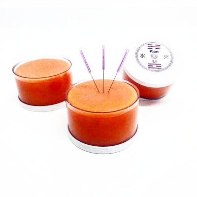 Modelo para Treinamento de Agulhamento – Kan Li