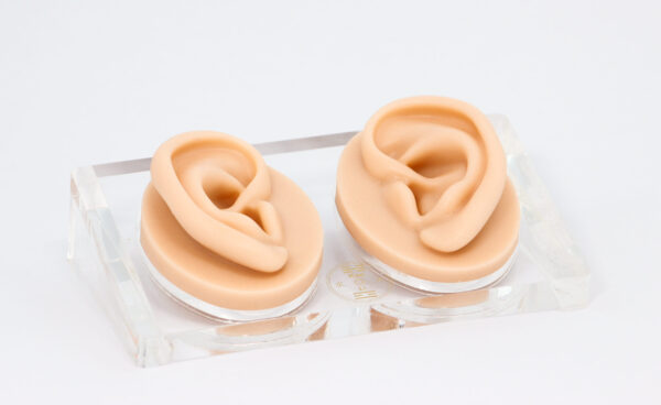 Modelo de Orelha de Silicone c/ Base de Acrílico Par - Kan Li