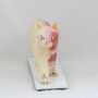 Modelo de Acupuntura em Formato de Gato Kan Li