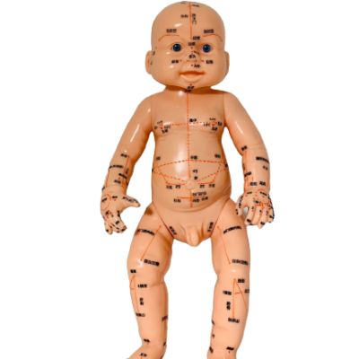 Modelo (Boneco) Bebê Masculino para Massoterapia Chinesa Pediátrica