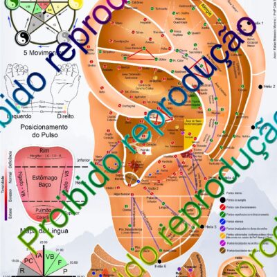 Mapa Auriculomedicina Escola Profª Huang Li Chun