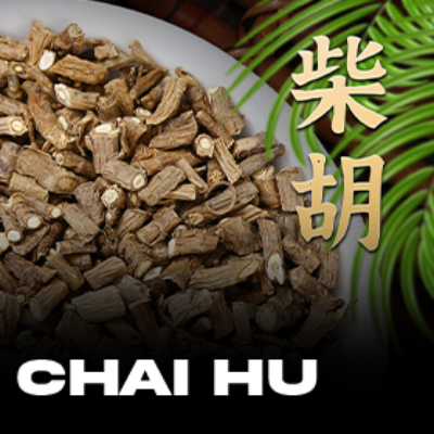 Chai Hu e as Doenças Modernas