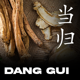 Dang-Gui-e-as-Mulheres