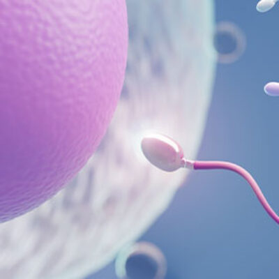 Infertilidade por Fu Quing Zhu