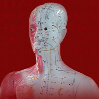 nomes e associacoes acupuntura