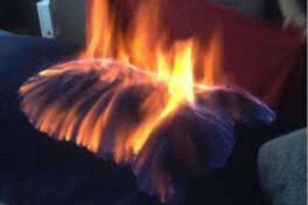 Terapia do Fogo na Prevenção de Doenças