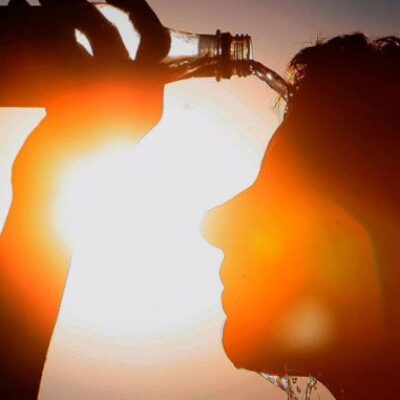 Ervas Brasileiras que Eliminam o Calor