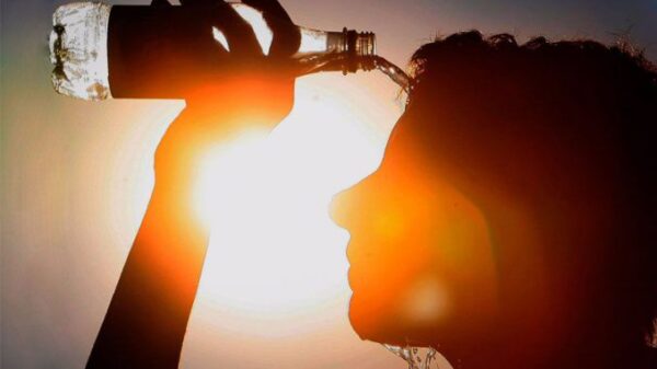 ervas brasileiras que eliminam o calor