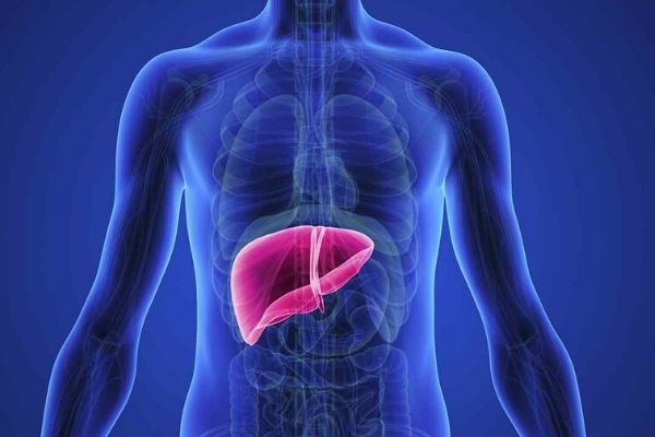 sindrome da depressão e o figado