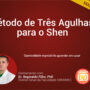 três agulhas do shein
