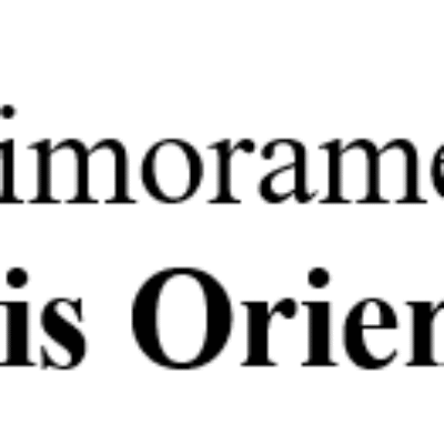 IX SIMPOSIO DE APRIMORAMENTO PROFISSIONAL