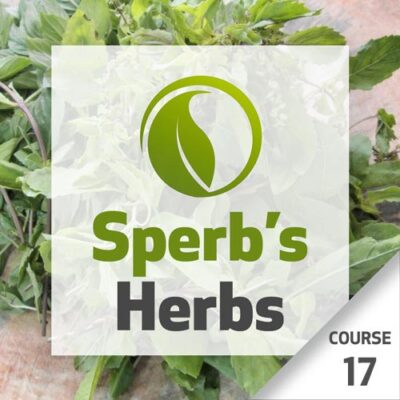 Ervas do Sperb – Curso 17